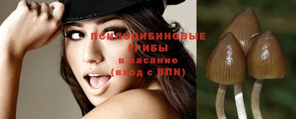 тгк Армянск