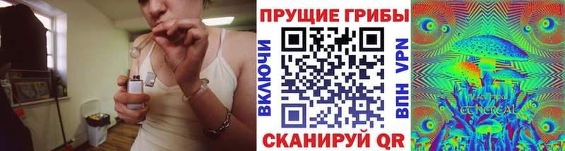 Галлюциногенные грибы Psilocybe  как найти закладки  Хвалынск 